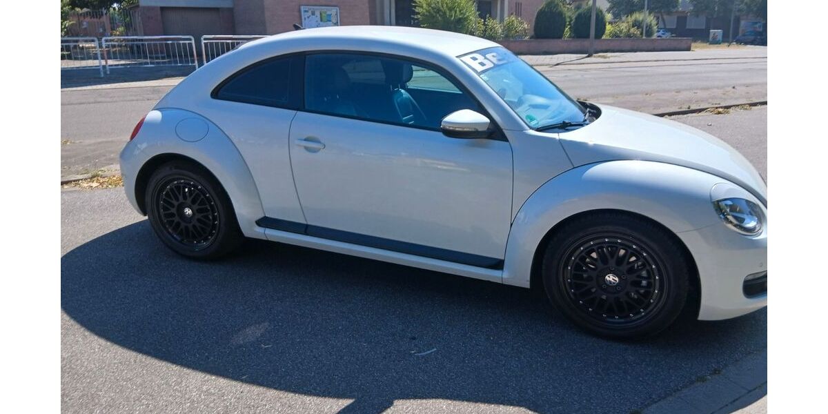 VW Beetle 183.000 km 5.500 &euro; ludwigshafen 67065