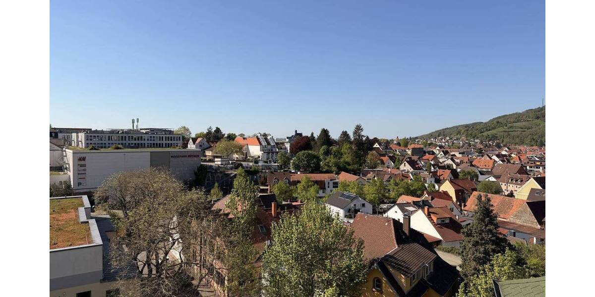Mehrfamilienhaus, Wohnhaus Weinheim - 1 Zimmer, 280 m&sup2;, 1.300.000&euro; | Angebot:26501940