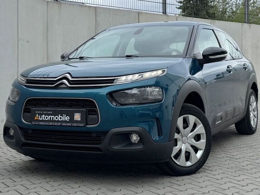 C4 Cactus