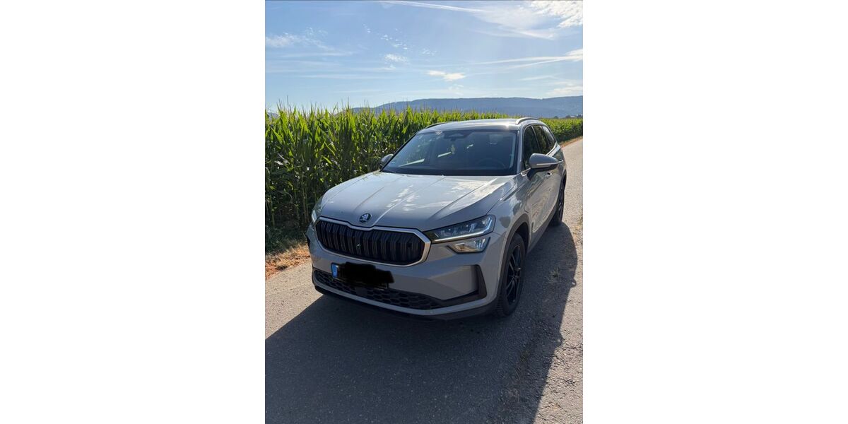 Skoda Kodiaq 29.900 km 37.500 &euro; Wiesenbach 69257