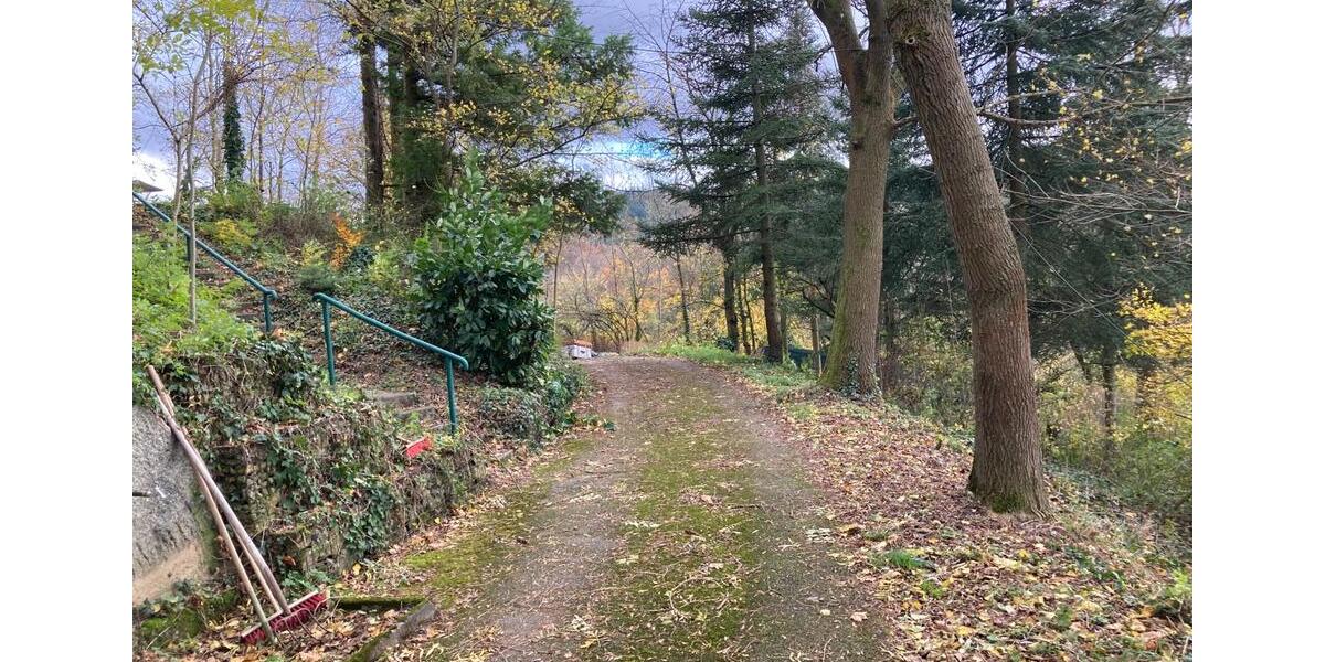 Grundstück Weinheim - 69.000&euro; | Angebot:23843184