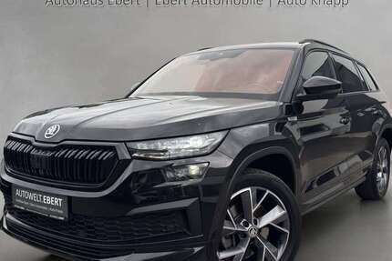 Skoda Kodiaq 123.890 km 29.890 &euro; Weinheim 69469
