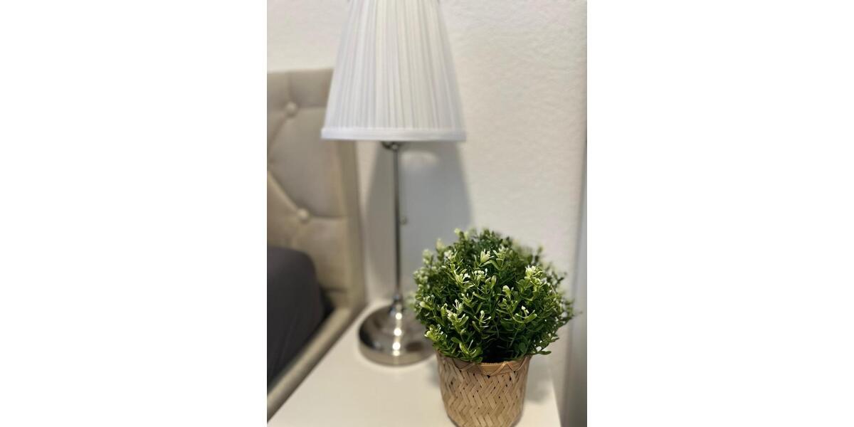 Erdgeschoßwohnung Mannheim Niederfeld - 1 Zimmer, 25 m&sup2;, 625&euro; | Angebot:25045527