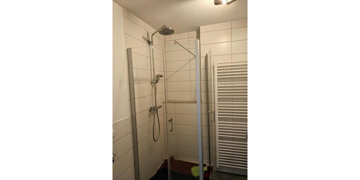 Dachgeschoßwohnung Speyer - 2 Zimmer, 65 m&sup2;, 250.000&euro; | Angebot:26846208