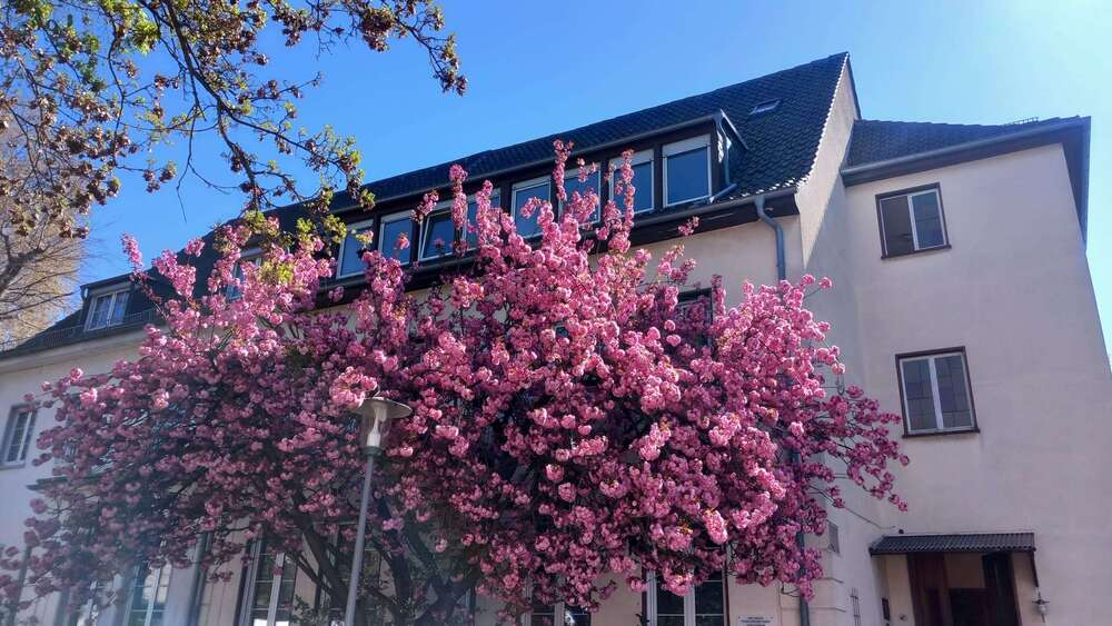 Einfamilienhaus Ludwigshafen Parkinsel - 13 Zimmer, 491 m&sup2;, 1.395.000&euro; | Angebot:26388168
