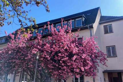 Haus Ludwigshafen Parkinsel - 13 Zimmer, 491 m&sup2;, 1.395.000&euro; | Angebot:26388168