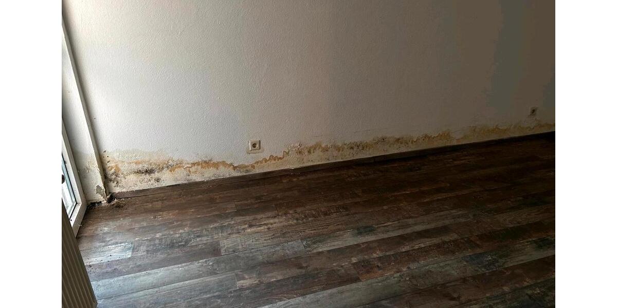 Sanierungsbedürftig Souterrain Wohnung in Mutterstadt 3 zimmer