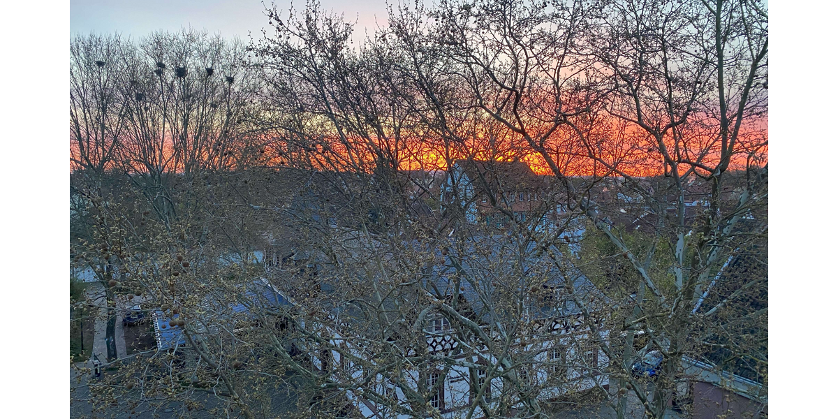 Wohnung zum Kaufen in Speyer 460.000 € 127 m² 4 zimmer