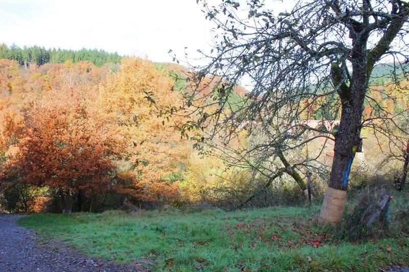 Grundstück Eberbach Friedrichsdorf - 63.000&euro; | Angebot:25686942