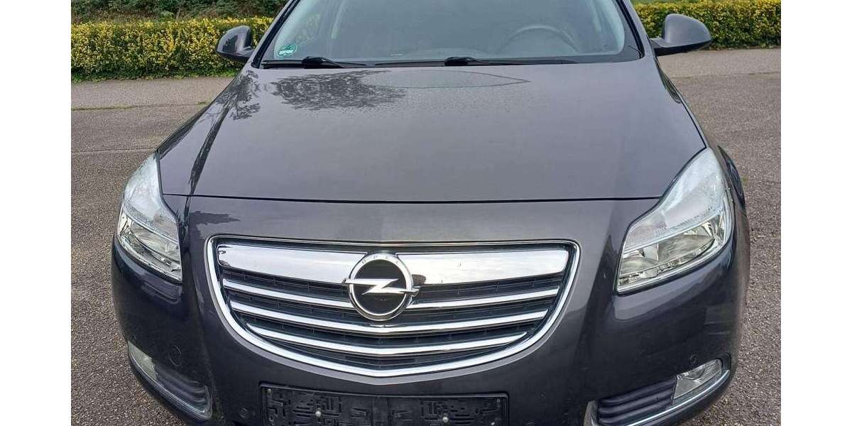 Opel Insignia 224.413 km 2.300 € Oberhausen-Rheinhausen (BW) 68794