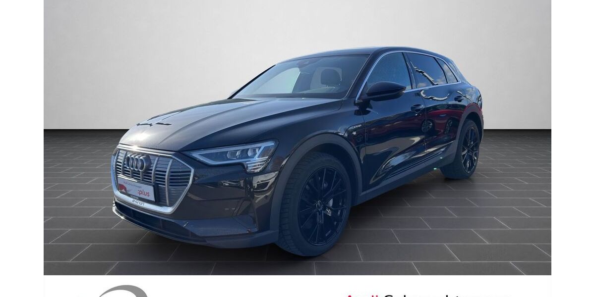 Audi e-tron 30.513 km 31.880 &euro; Ludwigshafen 67063