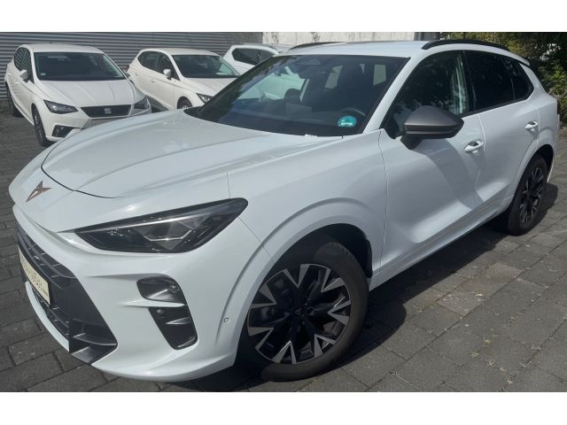 Cupra Terramar 25.320 km 34.950 &euro; Weinheim 69469