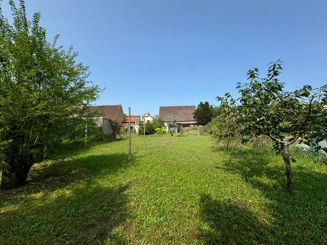 Grundstück zu verkaufen in Waghäusel 357.000 € 686 m²