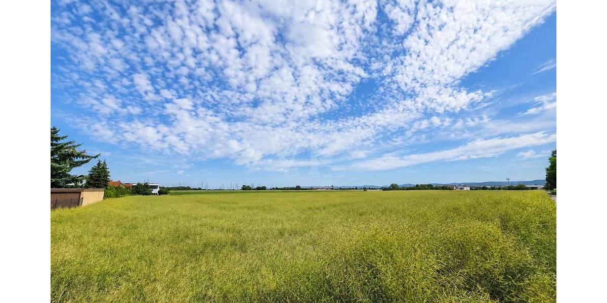 Mehrfamilienhaus, Wohnhaus Ilvesheim - 1 Zimmer, 269 m&sup2;, 565.000&euro; | Angebot:26892839