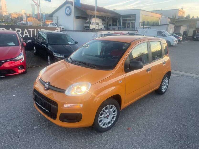 Panda