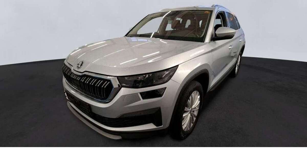 Skoda Kodiaq 51.600 km 35.890 &euro; Weinheim 69469