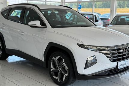 Hyundai TUCSON 55.000 km 22.990 &euro; Speyer 67346