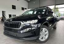 Gebrauchtwagen Skoda Karoq