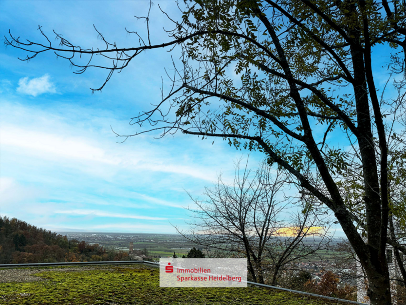 Grundstück zu verkaufen in Schriesheim 475.000 € 839 m²