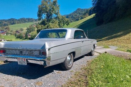 Buick Skylark 208.000 km 13.000 &euro; Mauer 69256