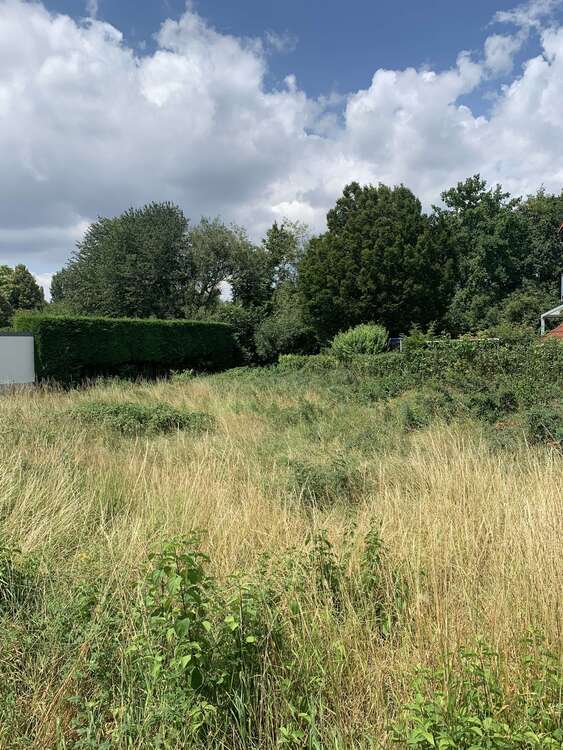 Haus zum Kaufen in Ludwigshafen-Melm 598.500 € 144 m²