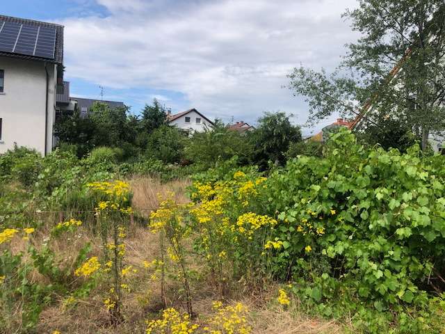 Grundstück zu verkaufen in Walldorf 624.000 € 567 m²