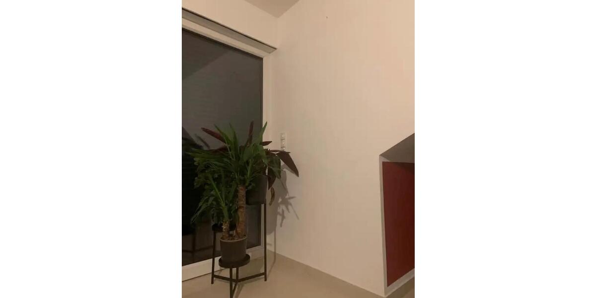 Einfamilienhaus Ludwigshafen am Rhein Rheingönheim - 2 Zimmer, 75 m&sup2;, 650&euro; | Angebot:25210087