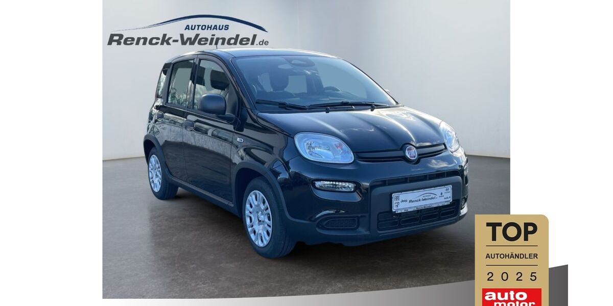 Fiat Panda 4.790 km 15.989 € Speyer 67346