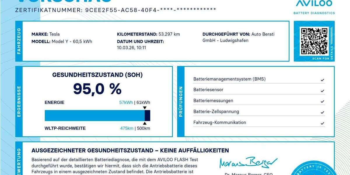 Tesla Model Y 50.000 km 31.500 &euro; Ludwigshafen 67063
