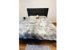 Etagenwohnung Mannheim Käfertal - 2 Zimmer, 64 m&sup2;, 900&euro; | Angebot:26384399