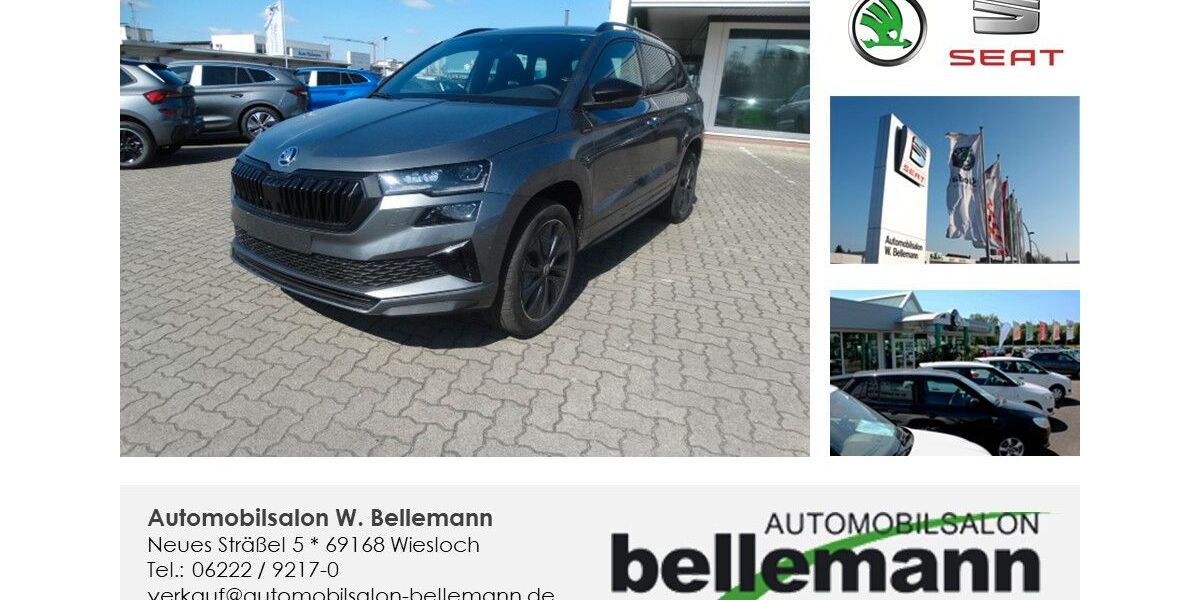 Skoda Karoq 3.500 km 35.990 &euro; Wiesloch 69168