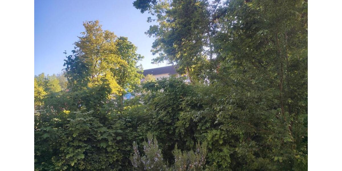 Erdgeschoßwohnung Heidelberg Pfaffengrund - 3 Zimmer, 69 m&sup2;, 710&euro; | Angebot:26326718