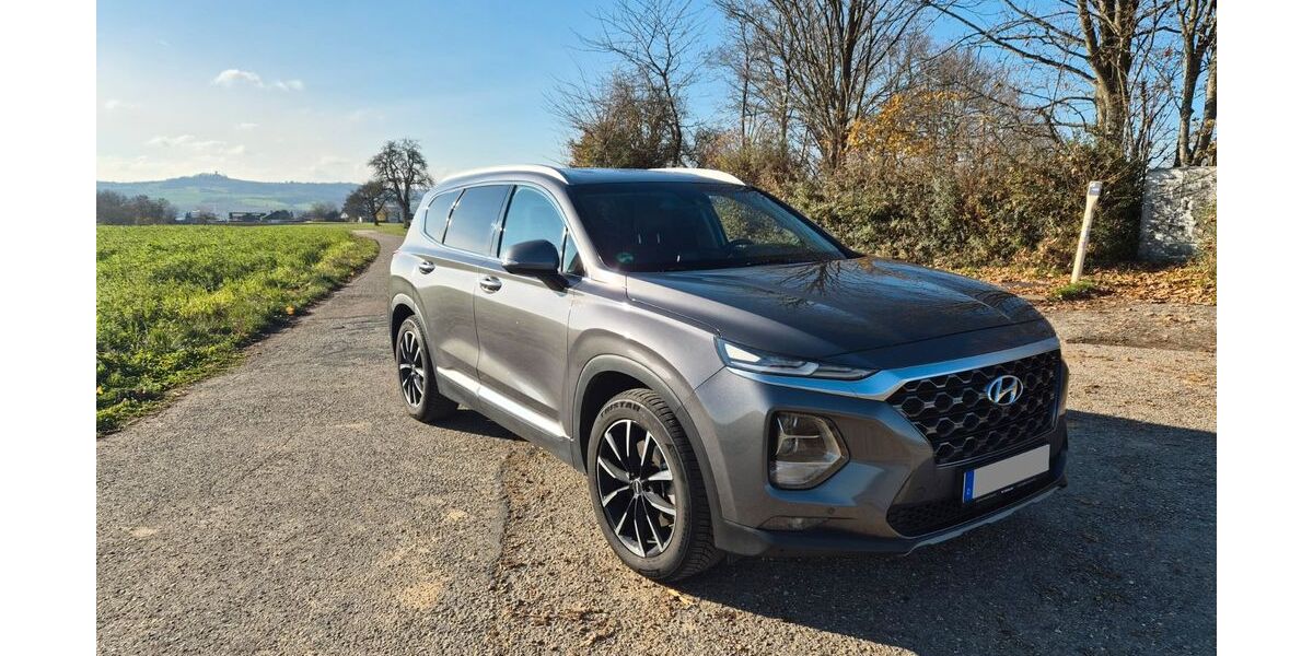 Hyundai SANTA FE 124.000 km 28.500 € Sinsheim 74889
