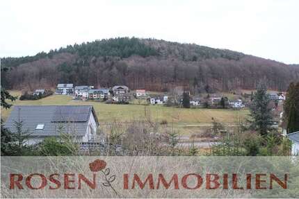 Wohnung Grasellenbach - 2 Zimmer, 50 m&sup2;, 450&euro; | Angebot:25111571