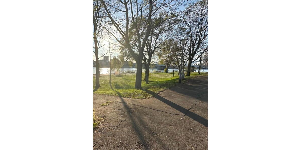 Hochparterre Mannheim Almenhof - 3 Zimmer, 82 m&sup2;, 379.000&euro; | Angebot:25235572