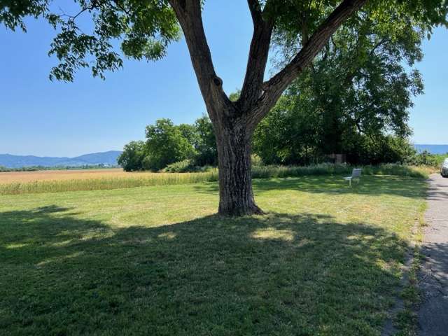 Einfamilienhaus Edingen-Neckarhausen Neckarhausen - 8 Zimmer, 255 m&sup2;, 659.000&euro; | Angebot:24239431