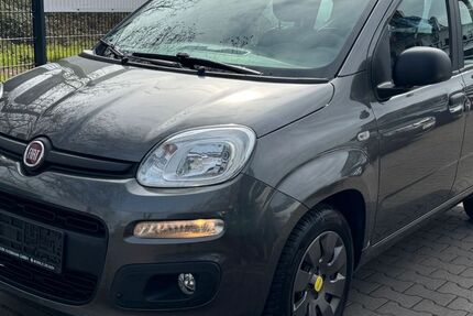 Fiat Panda 18.537 km 7.999 &euro; LUDWIGSHAFEN AM RHEIN 67071
