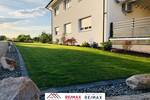 Mehrfamilienhaus, Wohnhaus Dielheim Horrenberg - 1 Zimmer, 298 m&sup2;, 1.299.000&euro; | Angebot:25773170