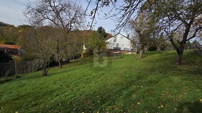 GROß UND GÜNSTIG - Grundstück Wald-Michelbach Michelbach | Angebot:24891247