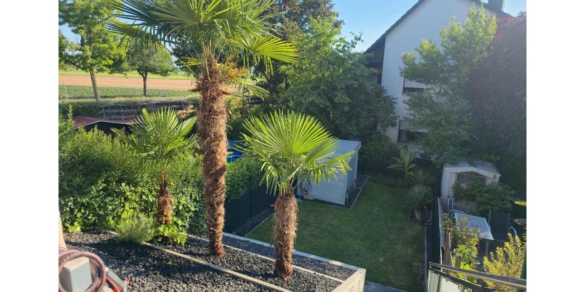 Reihenhaus Lampertheim - 4.5 Zimmer, 136 m&sup2;, 599.000&euro; | Angebot:27110526