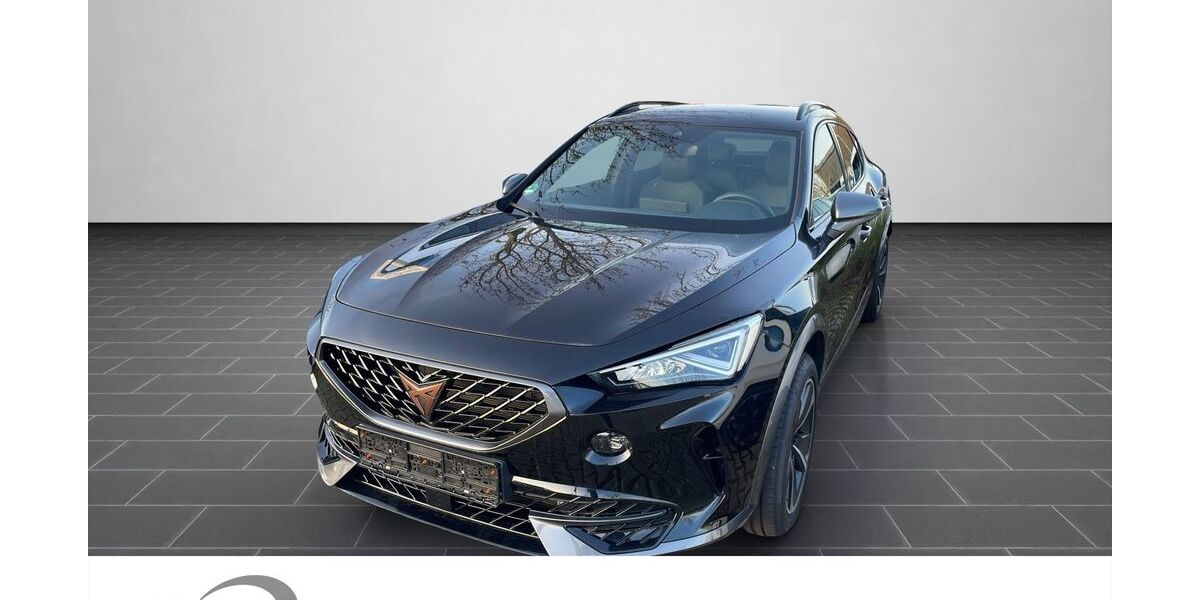 Cupra Formentor 30.150 km 27.900 € Ladenburg 68526