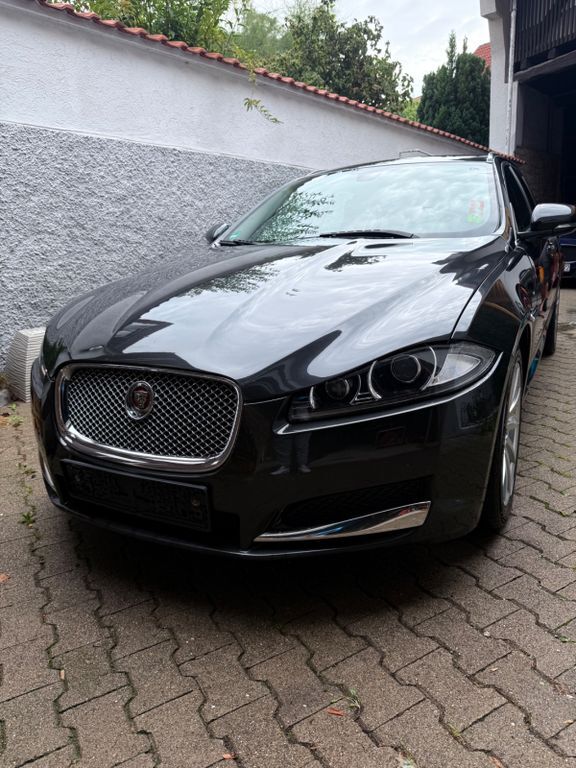 XF