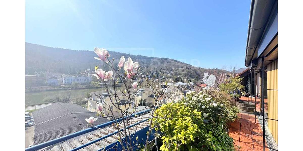 Etagenwohnung Heidelberg / Ziegelhausen Ziegelhausen - 4 Zimmer, 214 m&sup2;, 705.000&euro; | Angebot:24524569