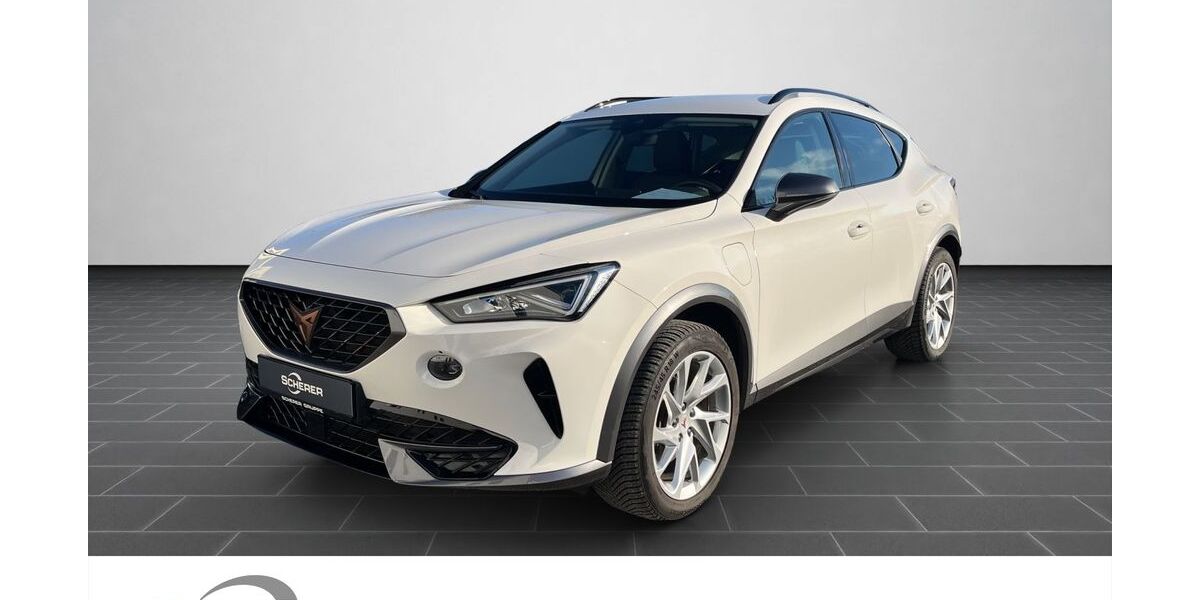 Cupra Formentor 20.751 km 25.990 &euro; Heidelberg 69123