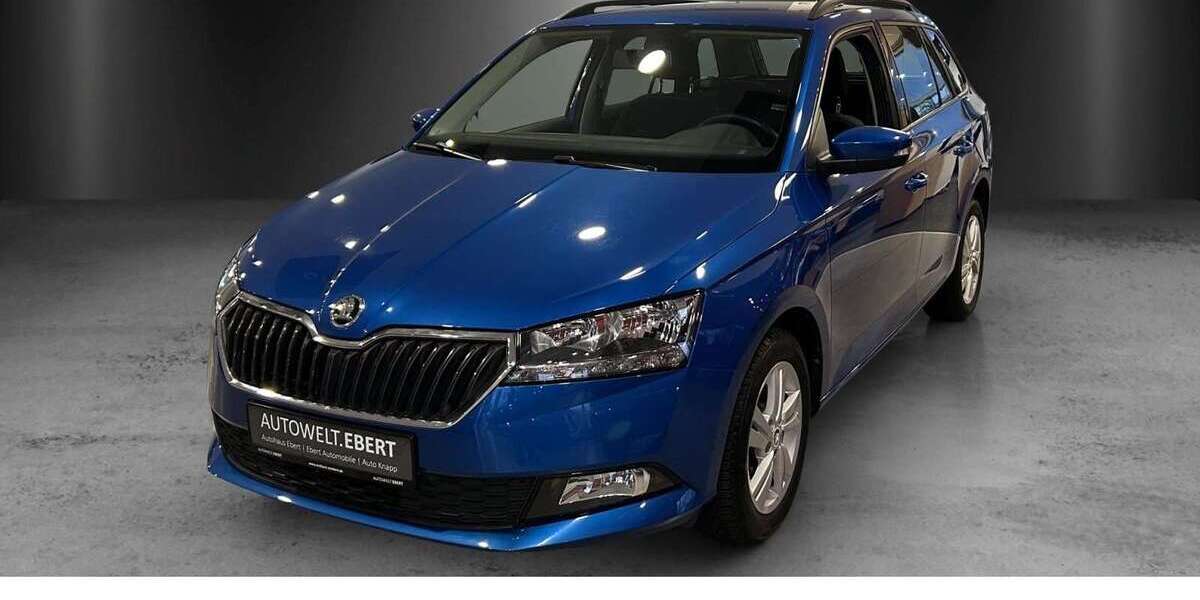 Skoda Fabia 50.794 km 10.950 &euro; Frankenthal 67227