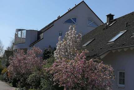 Wohnung zum Mieten in Mannheim 1.320 € 105 m² 3.5 zimmer