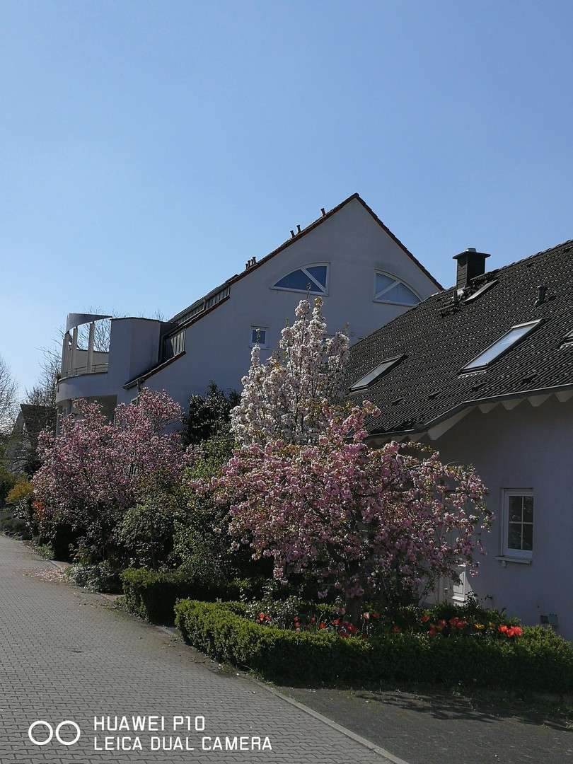 Wohnung zum Mieten in Mannheim 1.320 € 105 m² 3.5 zimmer