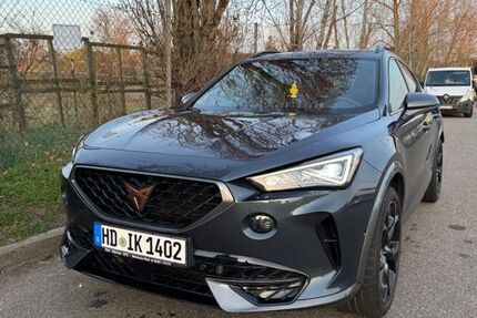 Cupra Formentor 94.175 km 28.500 &euro; Reilingen 68799