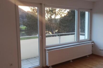 Wohnung Eberbach - 3 Zimmer, 90 m&sup2;, 850&euro; | Angebot:26598327
