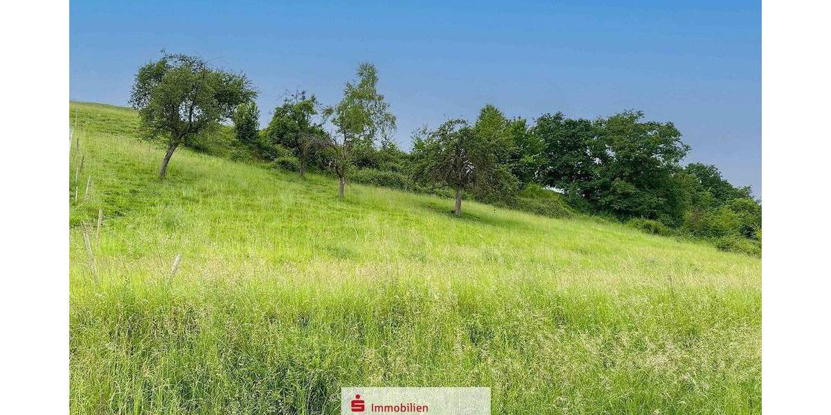 Wohnen im Grünen: 795?m² Baugrundstück in Eberbach - sofort bebaubar! zimmer